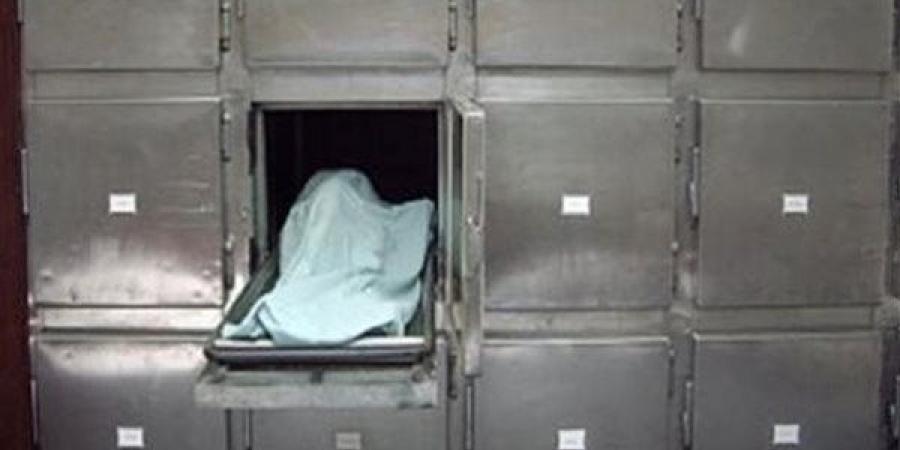 مصرع طالب وإصابة آخر في حادث تصادم بالدقهلية