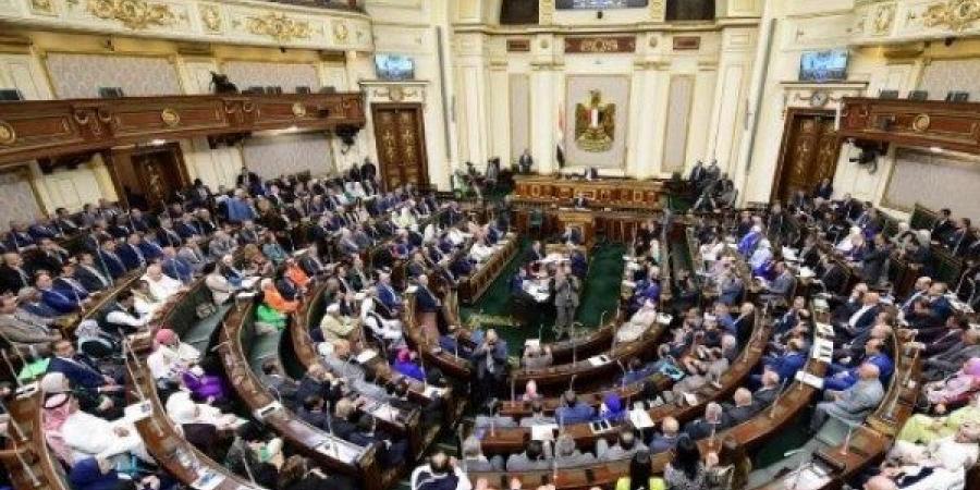 نواب يشيدون بجهود الدولة في بناء الإنسان: تعكس اهتمام القيادة السياسية بتحقيق التنمية الشاملة.. وترسيخ الهوية الوطنية والصحة والتعليم أولوية