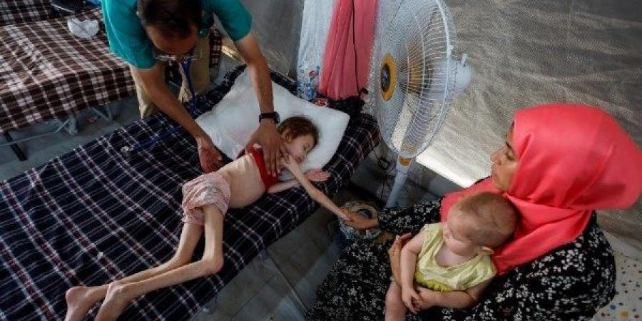 بسبب الحروب والمناخ .. الأمم المتحدة: الجوع في الدول العربية يبلغ أعلى مستوى