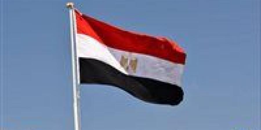 مصر ترحب باعتماد الأمم المتحدة قرارين يؤكدان الحقوق غير القابلة للتصرف للشعب الفلسطيني
