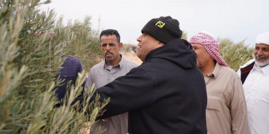 تدريبات ميدانية لمزارعي مطروح على طرق التسميد للزراعات البستانية تحت النظام المطري