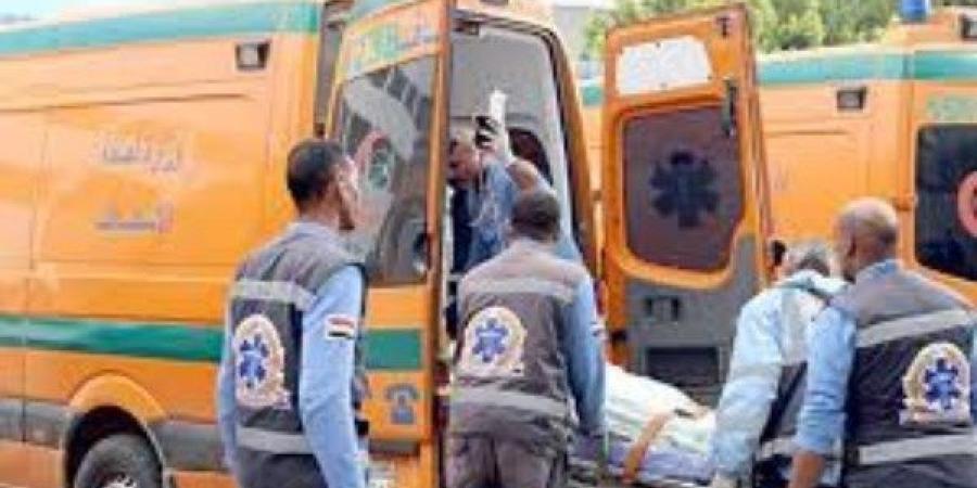 بالأسماء.. إصابة 8 أشخاص بإصابات متفرقة في حادث على طريق جمصة بالدقهلية