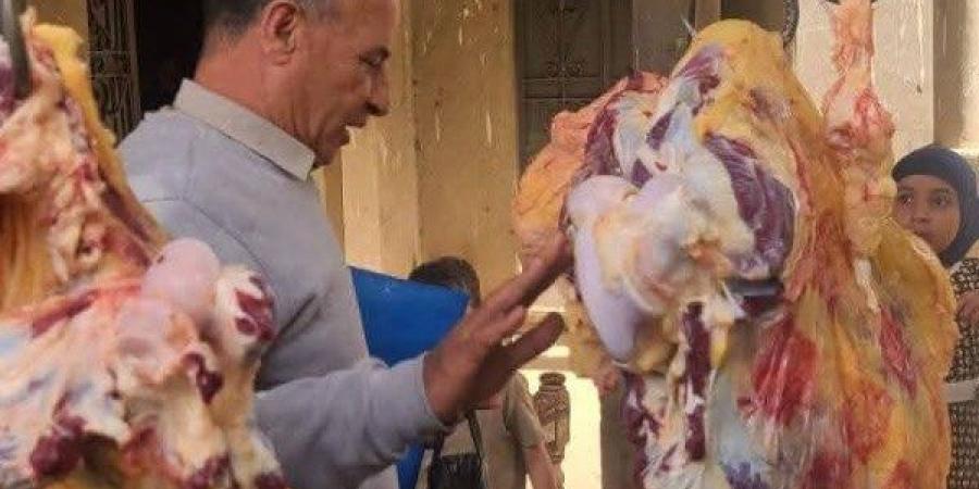 ضبط 277 كيلو لحوم ومنتجات غذائية خلال حملات رقابية مكثفة بالمنيا