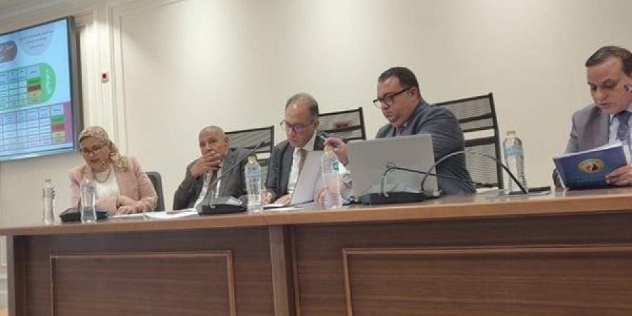 القومي لتنظيم الإعلانات: خطة للتحول الرقمي لتعزيز المشهد الحضاري ورفع كفاءة الإدارة الاستثمارية