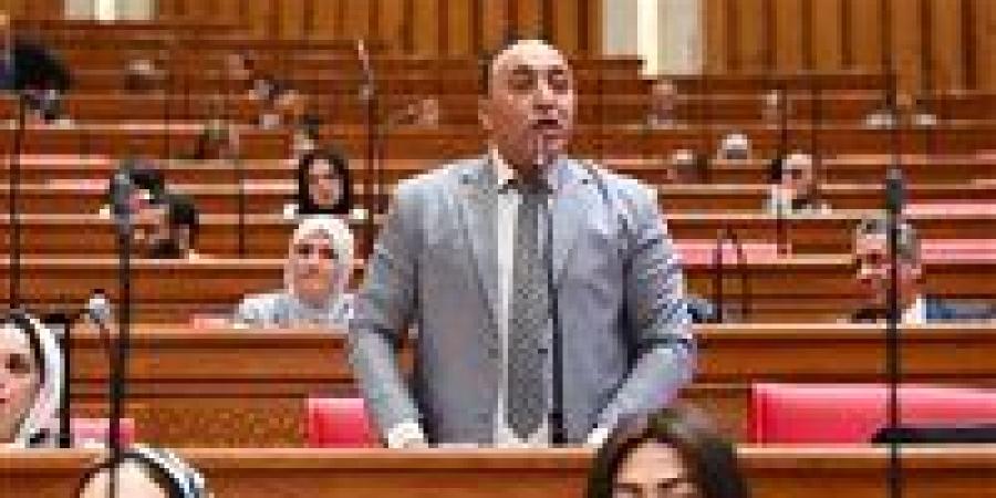 حسام حسن يفتح ملف مبادرة «القرية المنتجة» ويطالب بخطة واضحة للتنفيذ والاستدامة