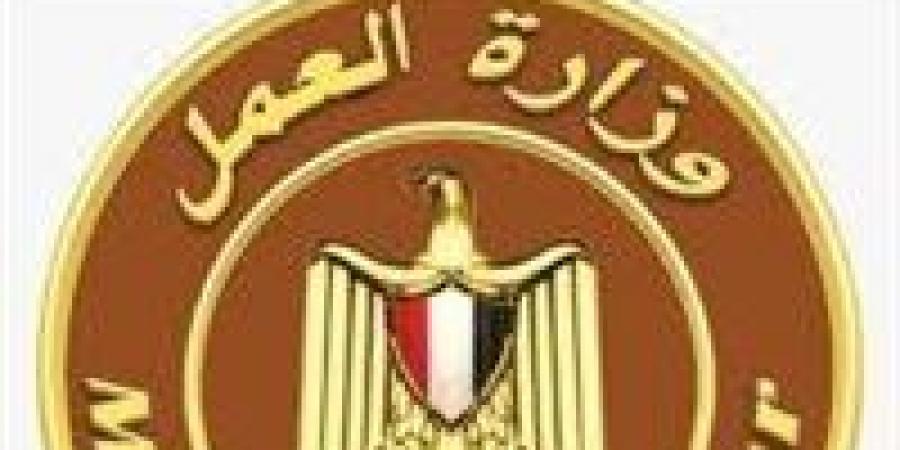 وزارة العمل تعلن عن 48 فرصة عمل بالخارج بمرتبات تصل إلى 1130 دولار شهريًا