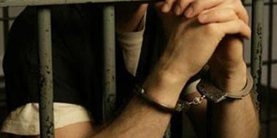 حبس 4 متهمين باختطاف فنانة استعراضية والاعتداء عليها فى شربين بالدقهلية