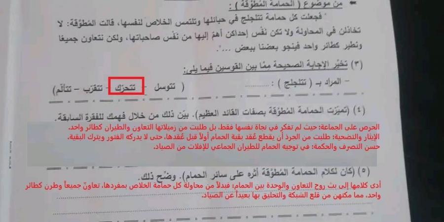 بالاجابات.. امتحان اللغة العربية للشهادة الإعدادية بالجيزة الترم الثاني.. إعرف جبت كام