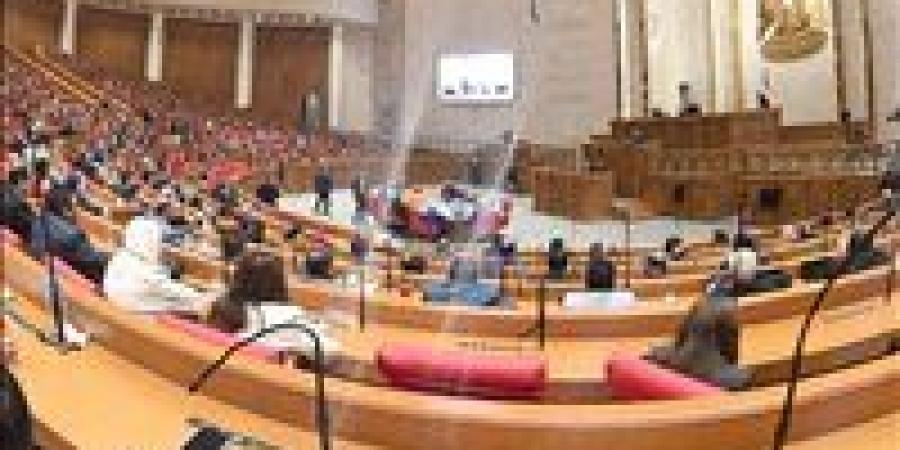طلب إحاطة بشأن البقعة الزيتية بشاطئ الجبيل في طور سيناء.. ومطالبة بكشف مصدر التلوث ومحاسبة المسؤولين
