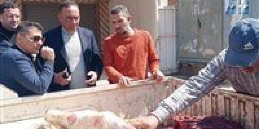 "الزراعة" تواصل حملاتها المكثفة.. المرور على 377 منشأة بيطرية وضبط 101 مخالفة خلال مايو