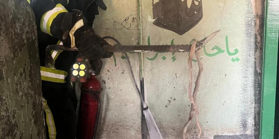 الحماية المدنية تسيطر على ثعبان عثر عليه بشقة فى مصر القديمة.. صور