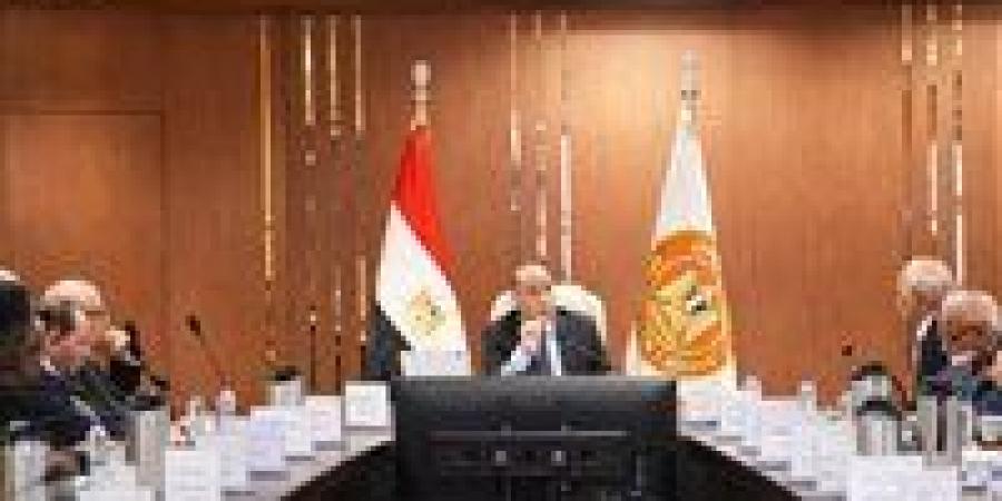 وزير العمل: 2.5 مليار جنيه دعمًا لـ441 ألف عامل عبر صندوق إعانات الطوارئ