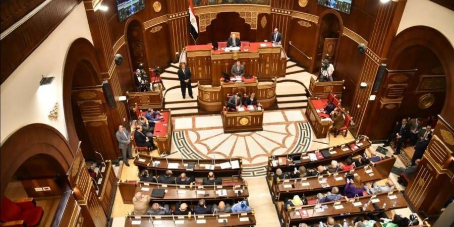 وزير التخطيط: زيادة مخصصات الصحة 39.5% والتعليم 25% في الموازنة الجديدة