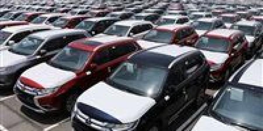 وزارة المالية: التوسع في طرح مزادات السيارات.. والأول يوليو المقبل