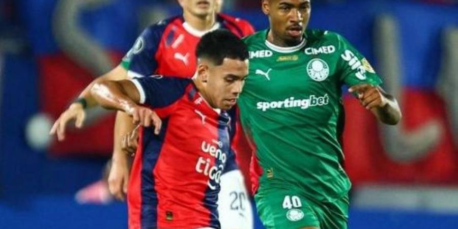 كأس ليبرتادوريس: بالميراس البرازيلي يتعادل مع نظيره سيرو بورتينيو - المساء الاخباري