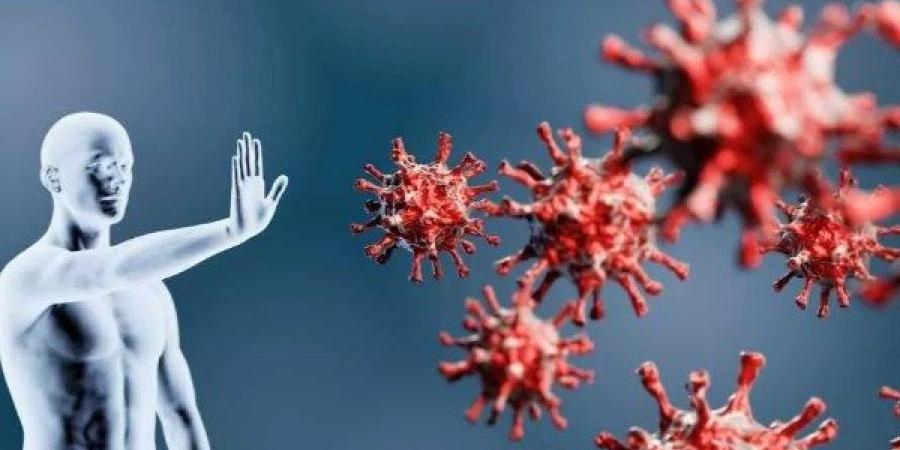 موجود في كل بيت.. طعام غير متوقع يقوي المناعة - المساء الاخباري