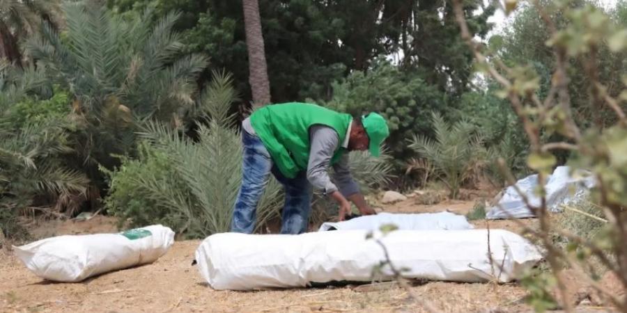 مركز الملك سلمان يواصل توزيع المساعدات الإيوائية في مديرية حيس بمحافظة الحديدة - المساء الاخباري