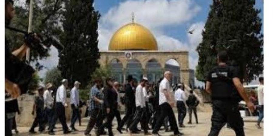 تصعيد جديد وخطوة خطيرة في الأقصى.. السماح للمستوطنين بإدخال كتب الصلاة وأداء طقوس جماعية - المساء الاخباري