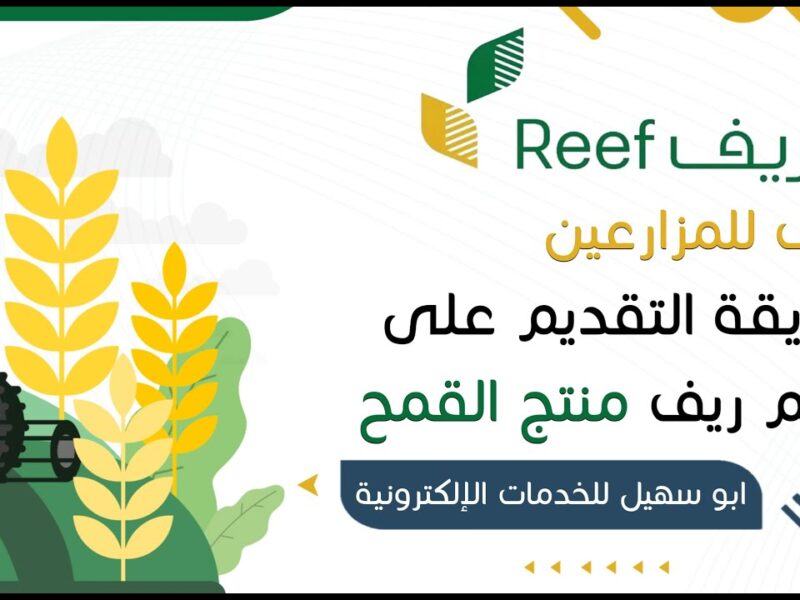 برنامج دعم ريف 2026.. ما هى الشروط المطلوبة وطريقة التسجيل إلكترونيا