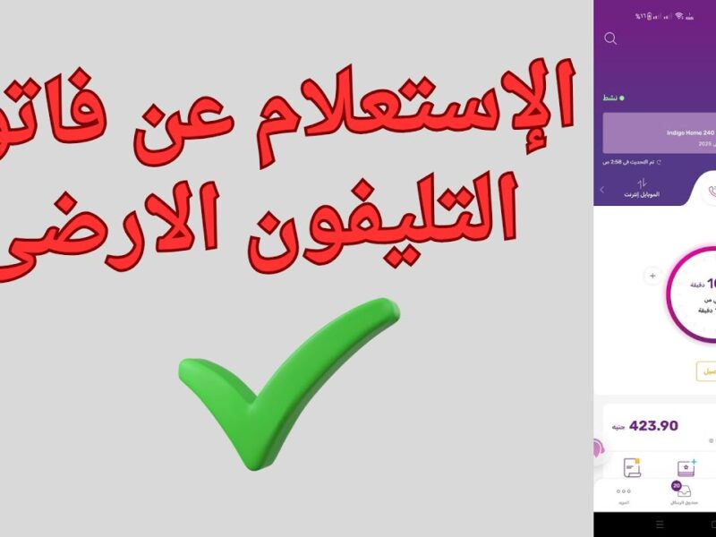 كيفية معرفة قيمة فاتورة التليفون الأرضي 2026 وسدادها باستخدام إنستا باي