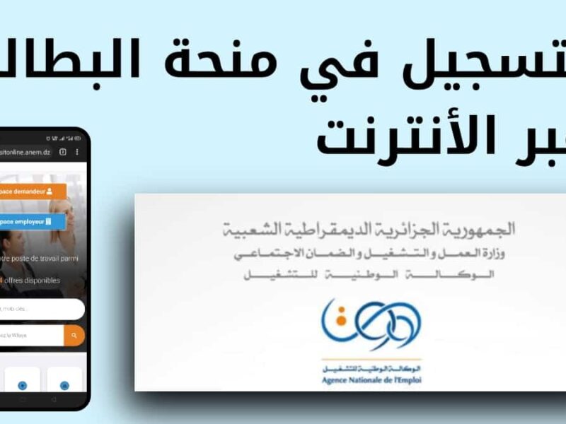 تسجيل الدخول إلى حساب Minha Anem لتحديث بيانات منحة البطالة في الجزائر 2026