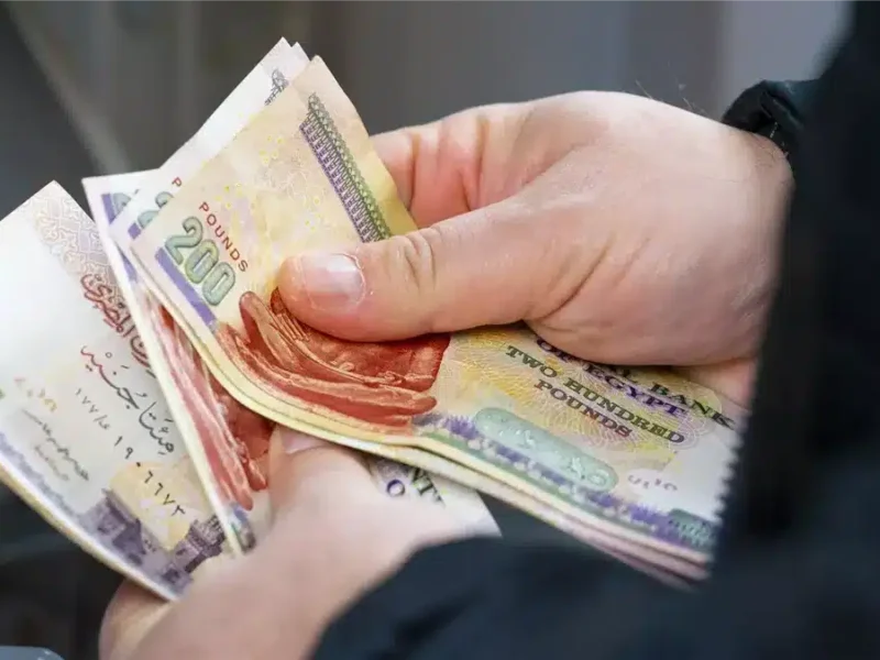 نفي رسمي من التأمينات حول تغيير موعد الصرف