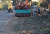 وزيرة التنمية المحلية والبيئة تتخذ قرارًا بإقالة رئيس مدينة مطوبس على خلفية قطع أشجار تاريخية