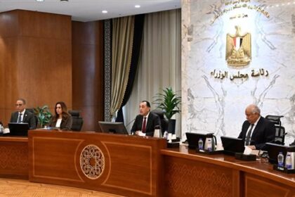 وزيرة التنمية المحلية تدعو لتكثيف جهود متابعة تجميع قش الأرز ومنع الحرق المكشوف للحد من السحابة السوداء وتقليل الانبعاثات الملوثة للجو