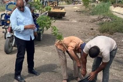 محافظ الشرقية يعلن عن حماية الأشجار وتطبيق القانون ضد المخالفات بشكل صارم