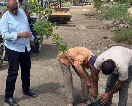 محافظ الشرقية يعلن عن حماية الأشجار وتطبيق القانون ضد المخالفات بشكل صارم