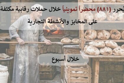 إنجاز 881 محضراً قانونياً ضد المخالفين في حملات مراقبة وتموين بالشرقية