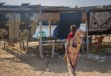 المتمردون يوسعون دائرة الصراع في اليمن ويُجبرون عشرات الآلاف على مغادرة منازلهم