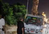 ضبط سيارة «جامبو» محملة بأخشاب وأشجار كافور معمرة في محافظة الدقهلية