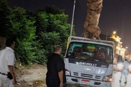 ضبط سيارة «جامبو» محملة بأخشاب وأشجار كافور معمرة في محافظة الدقهلية