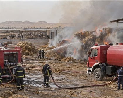 إصابة فرد جراء حريق في مزرعة مصر الخير بالخارجة واستجابة عاجلة من فرق الإطفاء