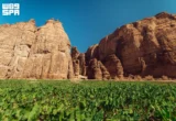 العلا تحقق إنجازاً عالمياً في السياحة وتحصل على ميدالية الذهب