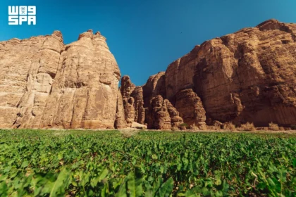 العلا تحقق إنجازاً عالمياً في السياحة وتحصل على ميدالية الذهب