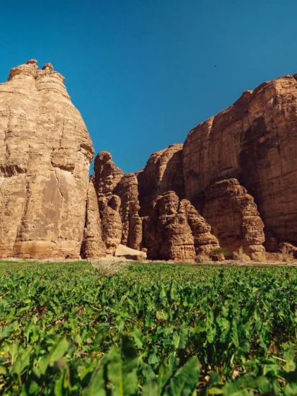 العلا تحقق إنجازاً عالمياً في السياحة وتحصل على ميدالية الذهب