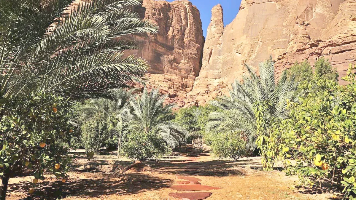 العُلا تحصد ميدالية ذهبية عالمية تقديراً لريادتها في السياحة