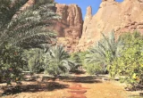 العُلا تحصد ميدالية ذهبية عالمية تقديراً لريادتها في السياحة