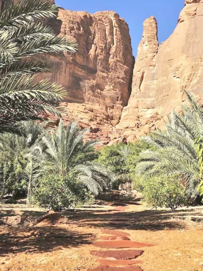 العُلا تحصد ميدالية ذهبية عالمية تقديراً لريادتها في السياحة