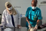 مركز وقاء بنجران يبدأ حملة لتلقيح الحيوانات ضد السعار