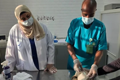 مركز وقاء بنجران يبدأ حملة لتلقيح الحيوانات ضد السعار