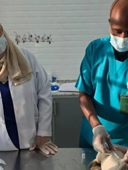 مركز وقاء بنجران يبدأ حملة لتلقيح الحيوانات ضد السعار