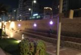 إضاءة ممشى بني سويف باللون البنفسجي احتفالاً باليوم العالمي لمرض ألزهايمر