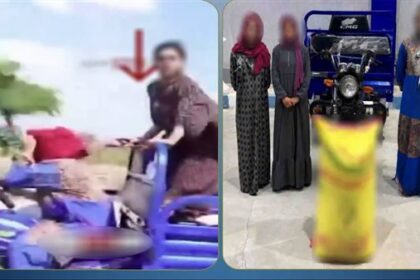 الداخلية توضح تفاصيل مطاردة 3 سيدات لاتهامهن بسرقة أجولة أرز في الشرقية