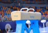 انطلاق بطولة الفراعنة الدولية للجمباز الفني 2026 بمشاركة 14 هيئة رياضية مصرية في القاهرة