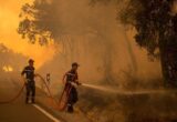 514 متهماً بجرائم الحريق في فرنسا: من يدفع ثمن النيران ولماذا؟
