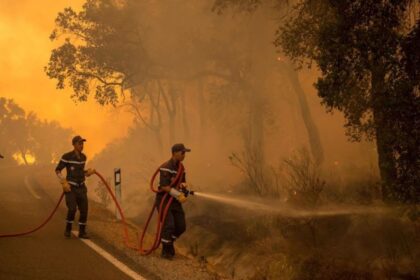 514 متهماً بجرائم الحريق في فرنسا: من يدفع ثمن النيران ولماذا؟
