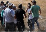 تصاعد إرهاب المستوطنين يسفر عن إصابة فلسطيني وتدمير الممتلكات